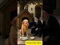Khamenei’s Mutton Mission: A Feast for the Furry Friend! 🐕🍖 #funnyshorts #funny #trump