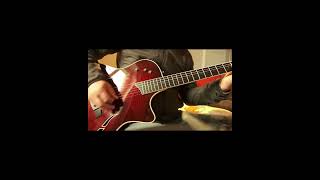 Taylor T5S1 5 positions #guitar #acousticguitar #guitarist #taylorguitars
