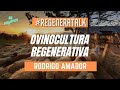 #REGENERATALKS OVINOCULTURA REGENERATIVA