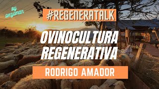 #REGENERATALKS OVINOCULTURA REGENERATIVA screenshot 1