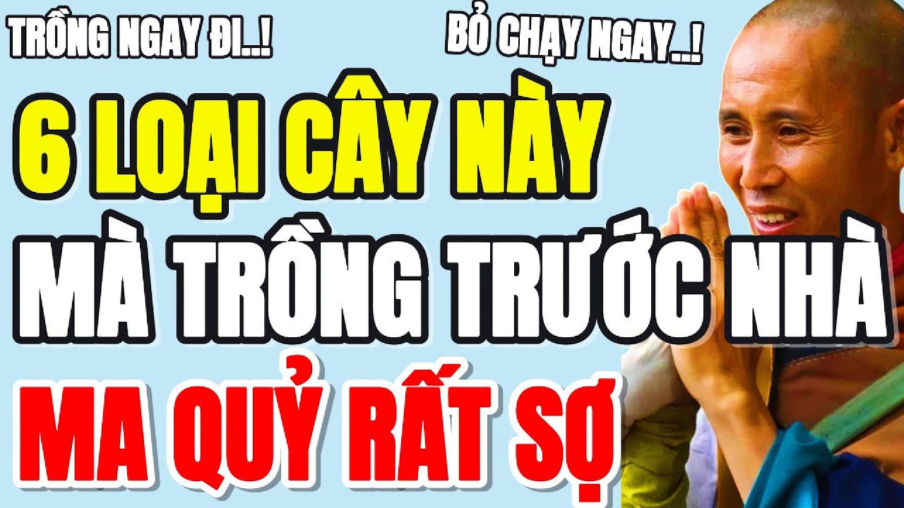 6 LOẠI CÂY NÀY, MÀ TRỒNG TRƯỚC NHÀ, MA QUỶ RẤT SỢ, THẤY LÀ CHẠY - Lời Phật Dạy #loiphatday #minhtue