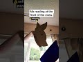 I broke my dragon with this one(゜ロ゜)