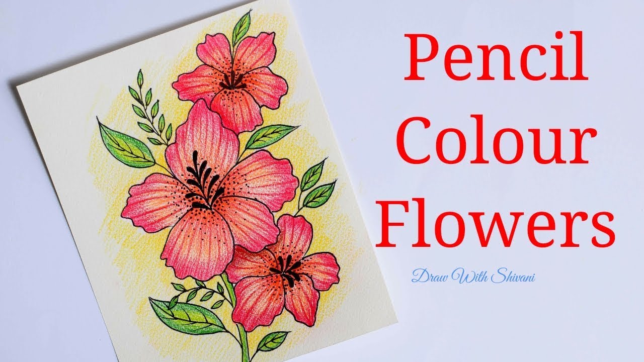 Featured image of post Simple Colored Pencil Drawings Of Flowers