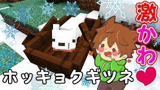 ぽこにゃん ぽこくら 402 超激レア ホッキョクギツネを発見 マインクラフト ゆっくり実況プレイ ゲーム実況動画まとめ ぽこにゃん ぽこくら 402 超激レア ホッキョクギツネを発見 マインクラフト ゆっくり実況プレイ ゲーム実況動画まとめ