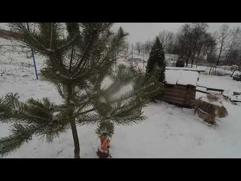 до нас прийшла зима 