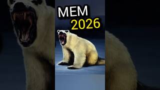 Мем С Белым Медведем Из 2026 Года. Что Он Означает?