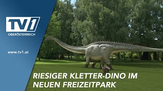 Neues Abenteuerparadies Für Familien