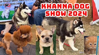 Biggest Dog Show in Punjab 2024 | Khanna Dog Show ‍
