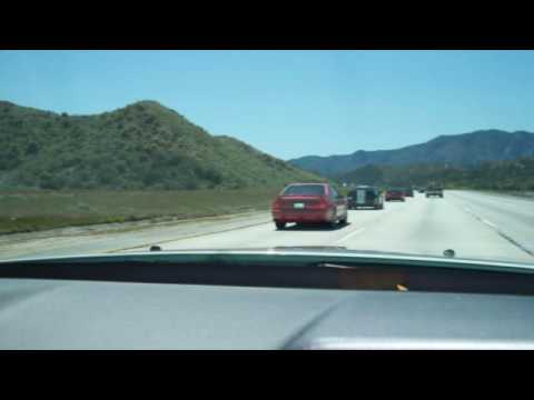 Mile of Mustangs 2010