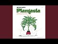 Music To Soothe The Savage Snake Plant 