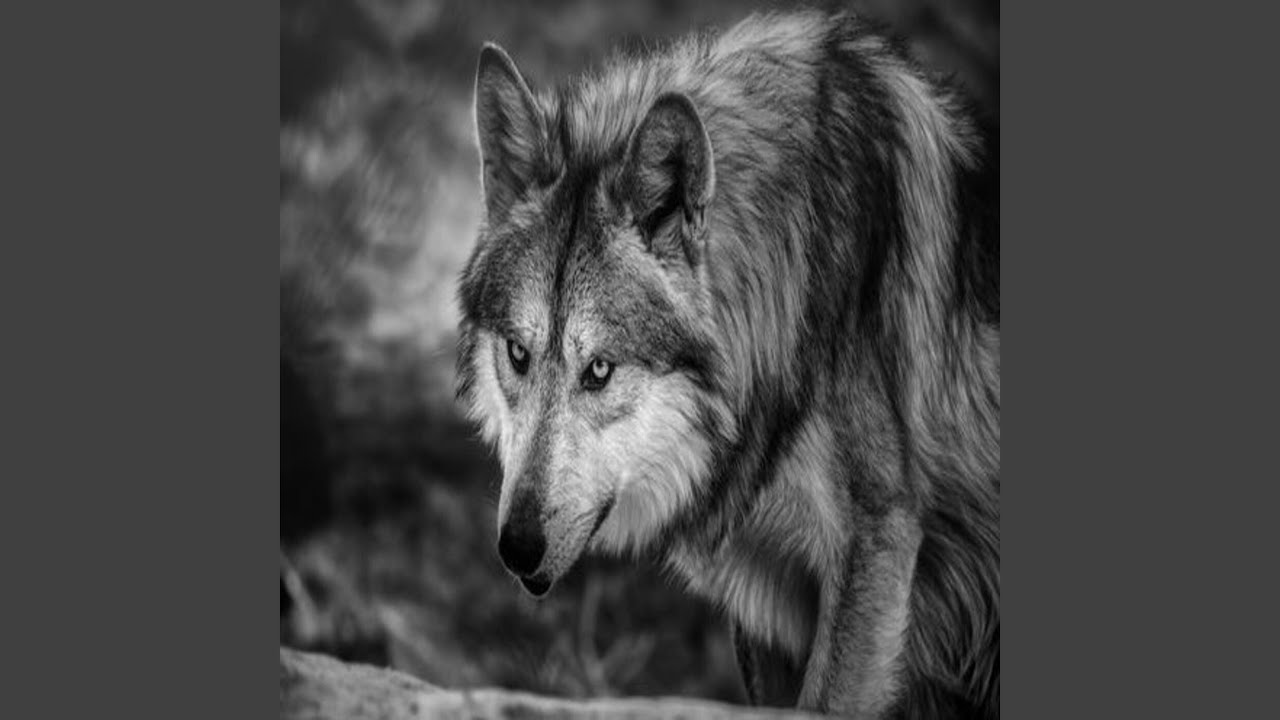 Не лезьте в мою душу