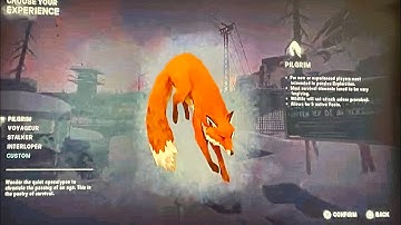 The Long Dark Pilgrim to Custom Mode Explained