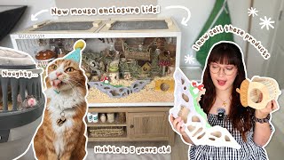 New mouse enclosure lids & selling exciting new products in my store | VLOG