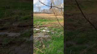 Ohio morrow county