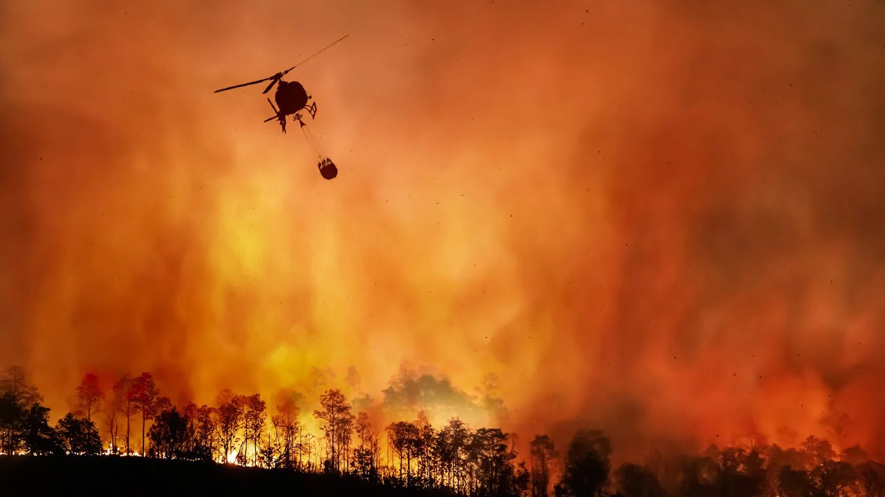 Горят леса, села и деревни. Пожары в Чили бушуют с новой силой