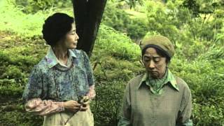 人生、いろどり