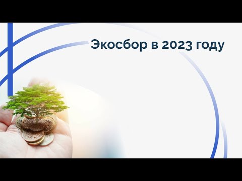 Экосбор в 2023 году