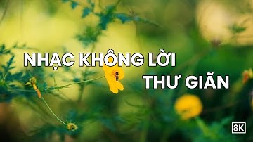 Nhạc Không Lời Thư Giãn Đầu Óc – Giảm Căng Thẳng, Ngủ Ngon. #11