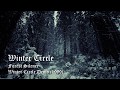 Forest Silence — Winter Circle [HQ]