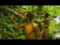 First contact with the tribe toulambi by miri  part 34   english