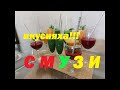 разноцветное смузи вкусно готовим #shorts