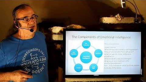 Psy 3335 Lecture 2 3   Emotions of Stress and Challenge