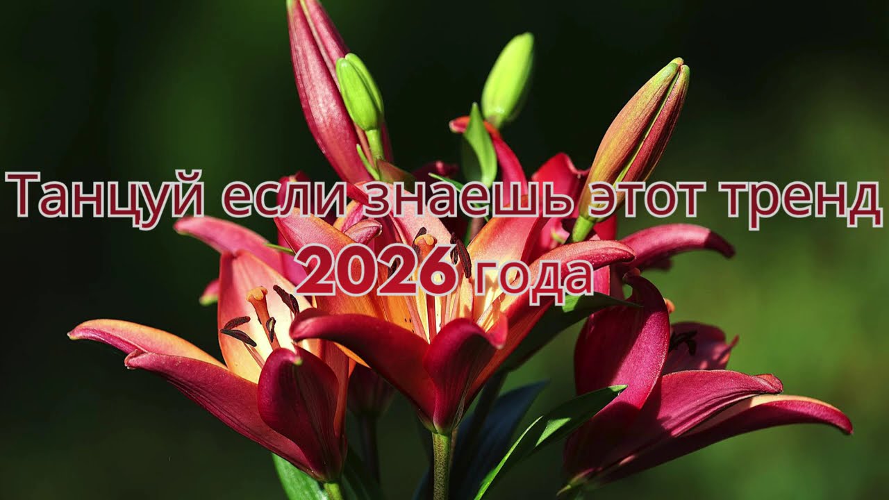 Танцуй если знаешь этот тренд 2026 года | TikTok-мэшап 💜