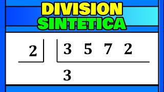 DIVISION SINTETICA