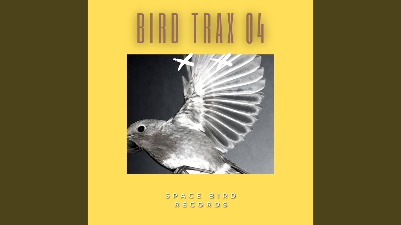 Watch Foundtwo (Space Bird Mix) on YouTube Watch Foundtwo (Space Bird Mix) on YouTube