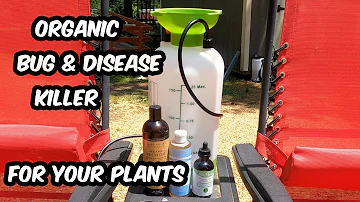 Organic Insect and Disease Killer and Prevention for Your Plants