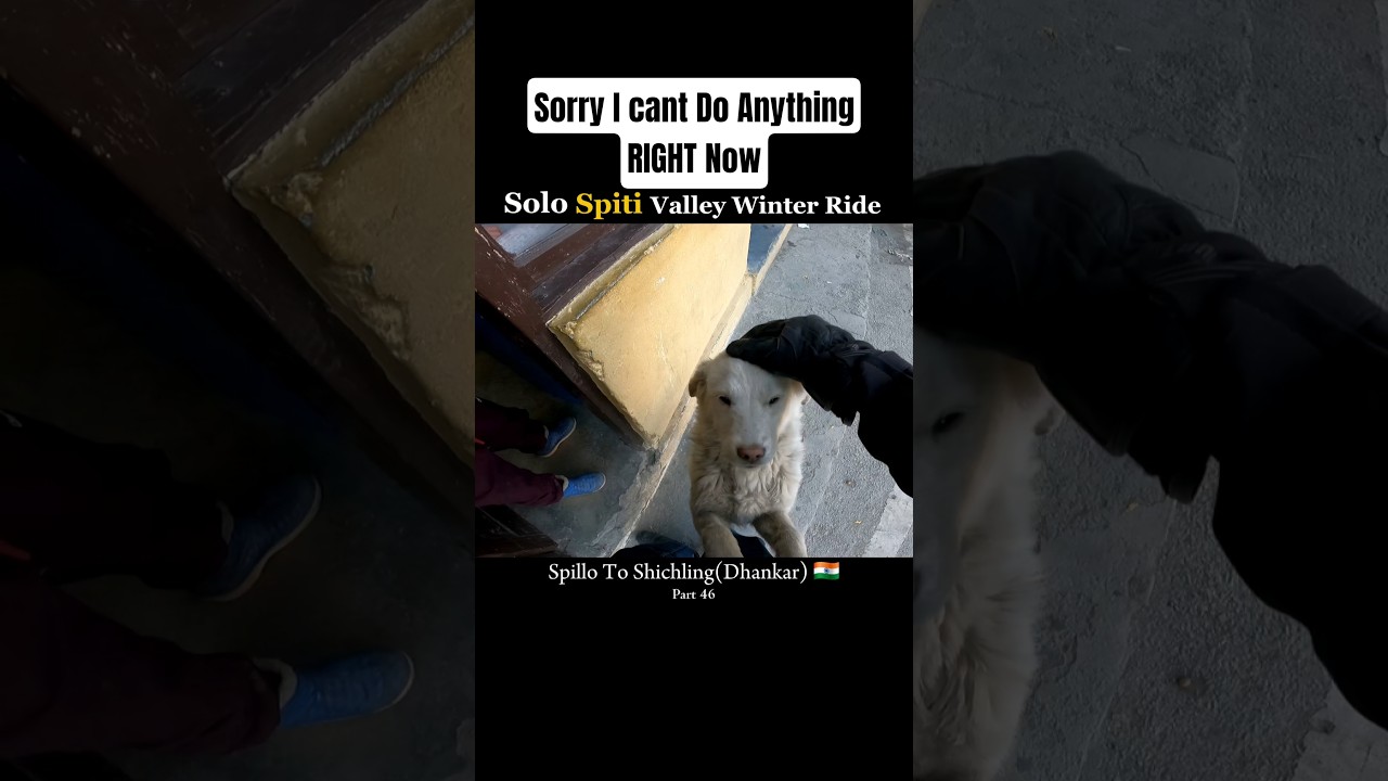 Solo Spiti Valley 🇮🇳 Winter Ride 2025 