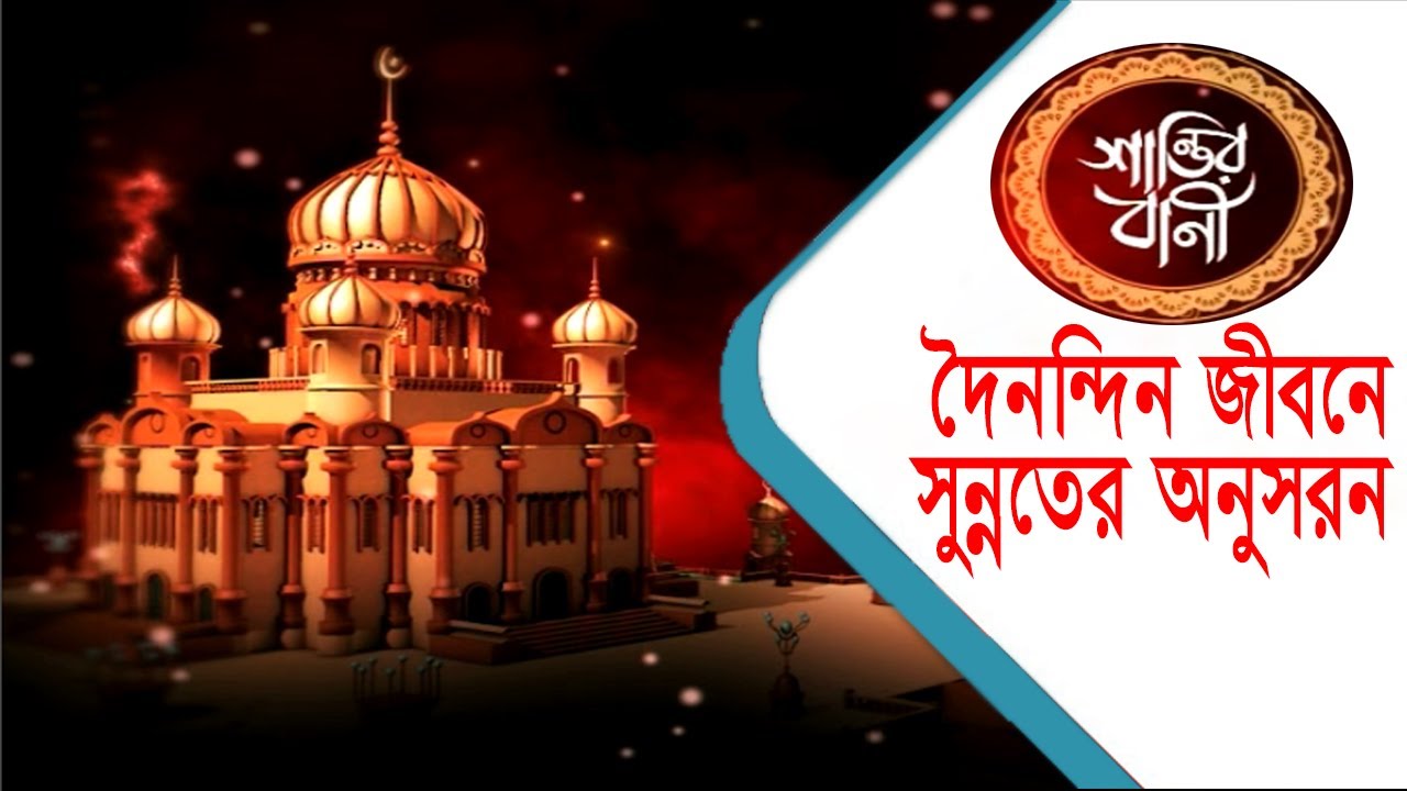 দৈনন্দিন জীবনে সুন্নতের অনুসরন | Islamic Bangla video (Santir Bani Part 13) | Muslim Religion