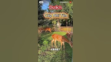 Khám Phá Cáp Nhĩ Tân – Thành Phố Băng Tuyết Đẹp Nhất Trung Quốc