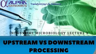 Upstream vs Downstream Processing| Industrial Microbiology lecture 3|