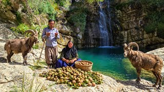 🏔️😱 An Unforgettable Night in the Mountains: From the Bounty of Walnuts to a Run-in with a Scorpion!