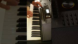 Die rote Sonne von Barbados - German Schlager on the Fame G400 / Medeli M361 keyboard #medelim361