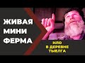 Живая Мини Ферма. 50% скидка на проект по заявке //Живая Баня Иван Бояринцев
