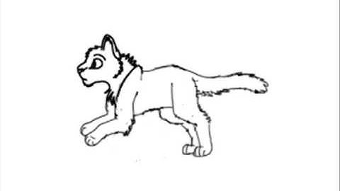 Cat Run Cycle (My first!)