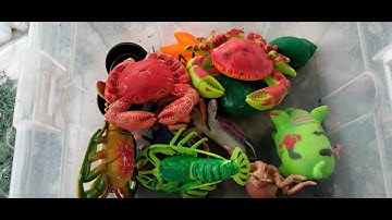 Binbotv bắt các con vật nhuộm màu trên sân con cua cua đỏ, con tôm,ốc sên part 36