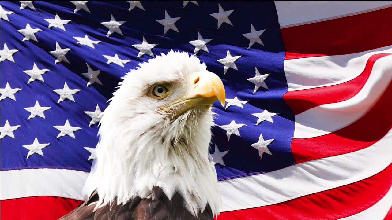 Brian Curley Independent Council Candidate -  Ballot Location