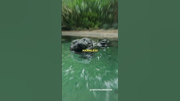 You Won’t Believe What This Really Is…😨