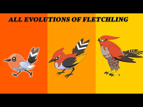 Pokemon Fletchling Evolution Chart