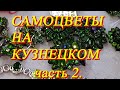 Москва. Октябрь 2020. Выставка-продажа "Самоцветы на Кузнецком". Часть 2.