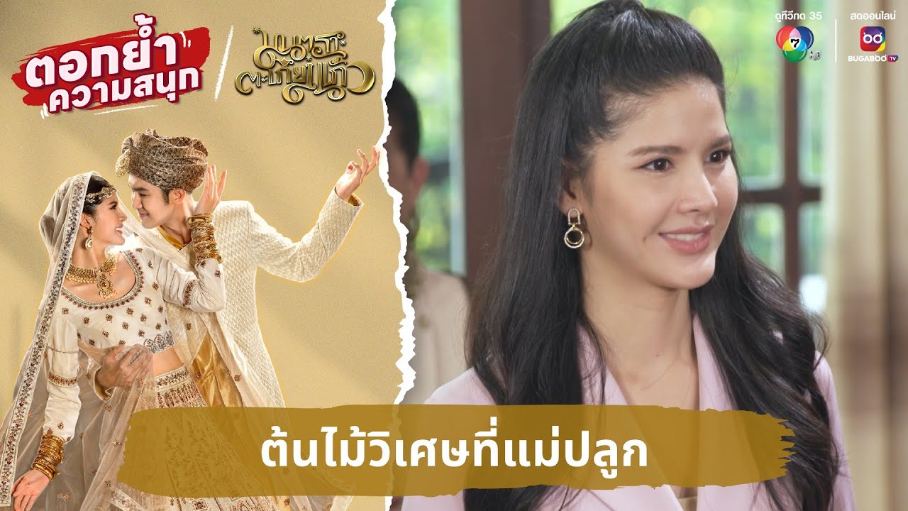 ต้นไม้วิเศษที่แม่ปลูก | ตอกย้ำความสนุก มนตราตะเกียงแก้ว EP.19