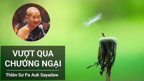 Vượt Qua Chướng Ngại - Thiền Sư Pa Auk Sayadaw