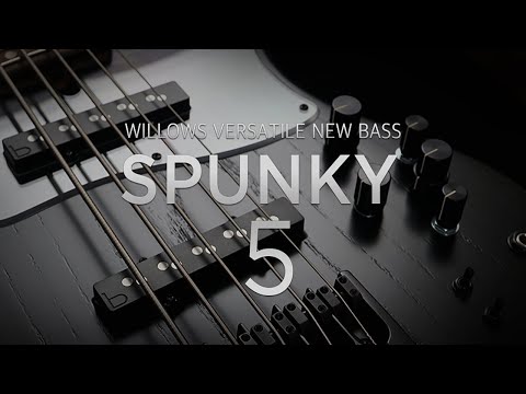 new-spunky-5string-bass---willows-guitar