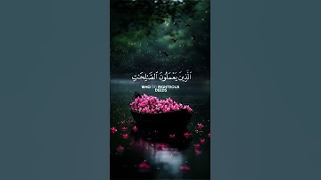 #تلاوة_خاشعة #تلاوة_هادئة #تلاوة_هادئة #حالات_واتس #راحة_نفسية #راحة_القلوب #حالات#اكسبلور #لايك