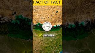 Nipal History of Fact Of Fact 😴 #love #edit #nipal