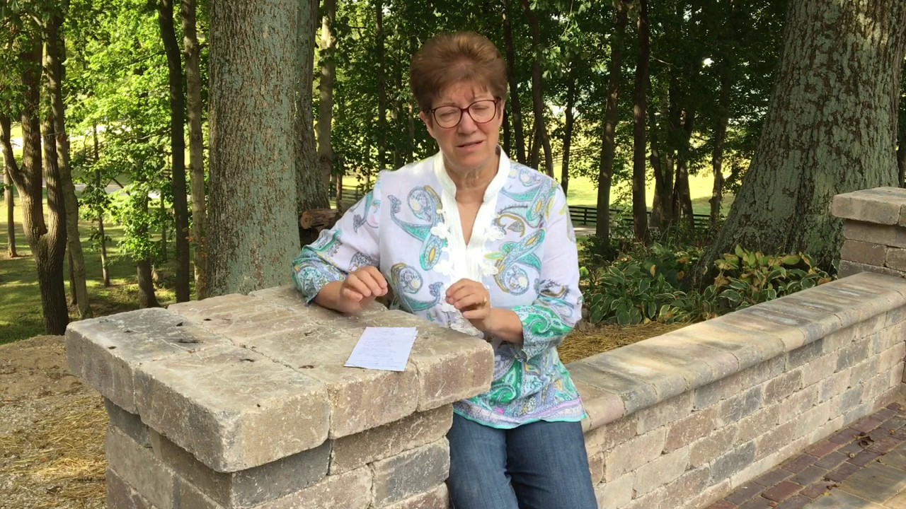 Windy Hill Kennel information for the website 