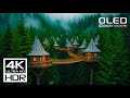 Unseen 4K HDR Video with Relaxing Music 🎶